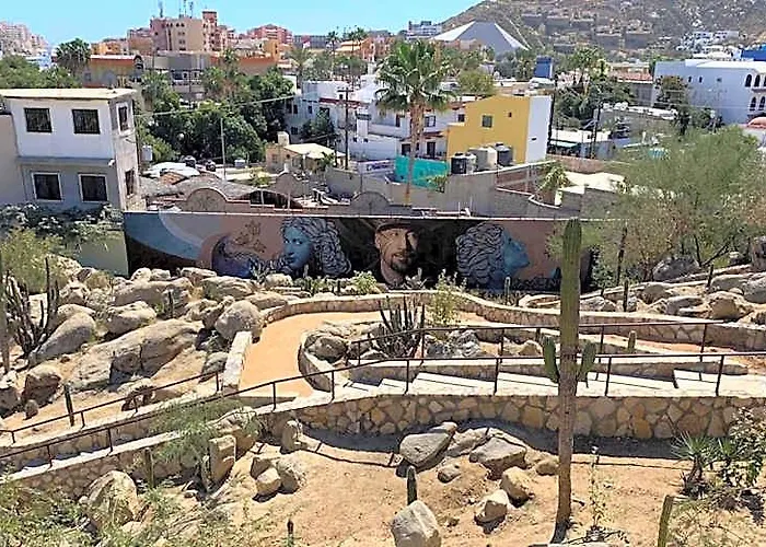 Milagros Cabo San Lucas