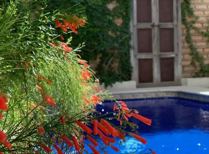 Milagros Hotel Cabo San Lucas